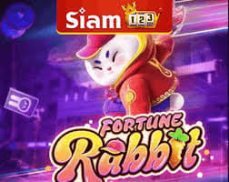 horário de jogar fortune rabbit ícone